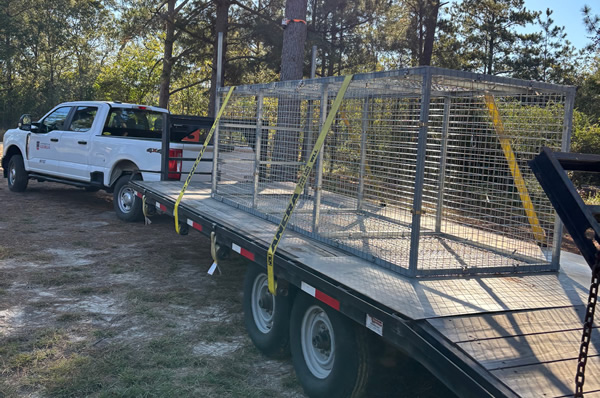 live alligator trap